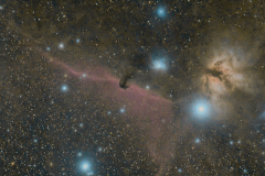 horsehead and orion nebulas